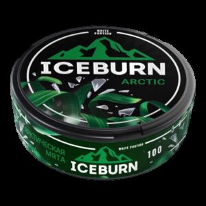 Iceburn - 100mg - Arctic - Арктическая Мята